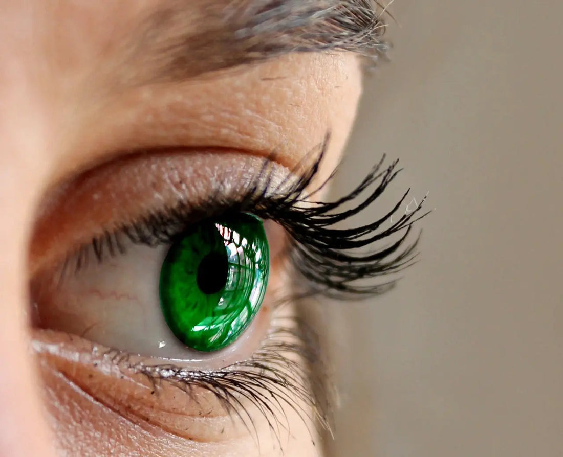 Application-faux-cils-magnétiques-guide-rapide-pour-un-look-parfait Femme Soin