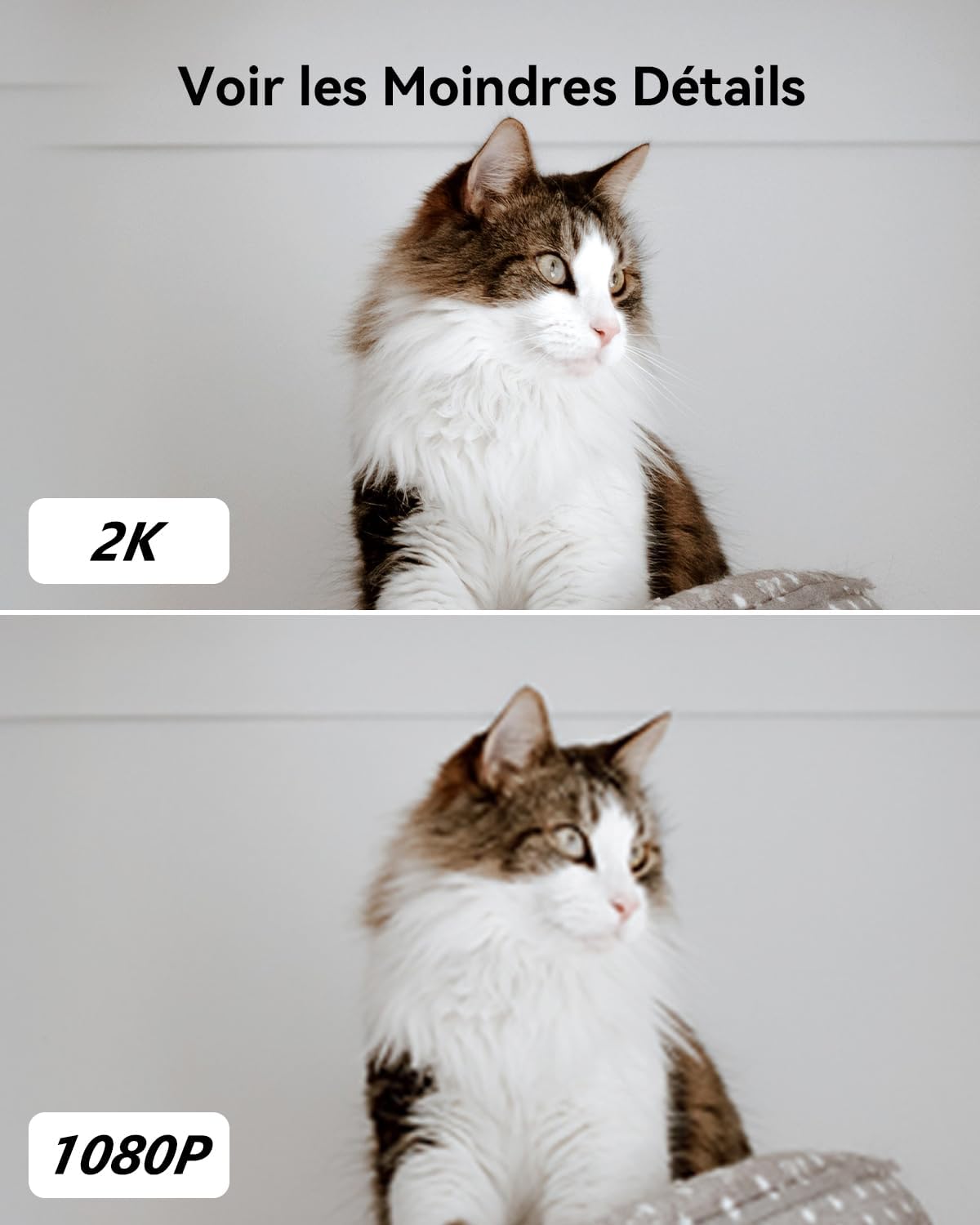 Imou 2K(3MP) WiFi Surveillance Camera Indoor 360° Smart Camera with Human Detection AI Tracking Two-Way Audio Siren Alexa Compatible for Baby/Pets