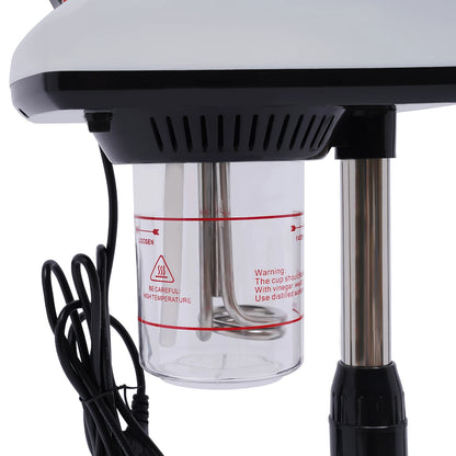  Vaporisateur Facial Professionnel Nano-Ionique 750W